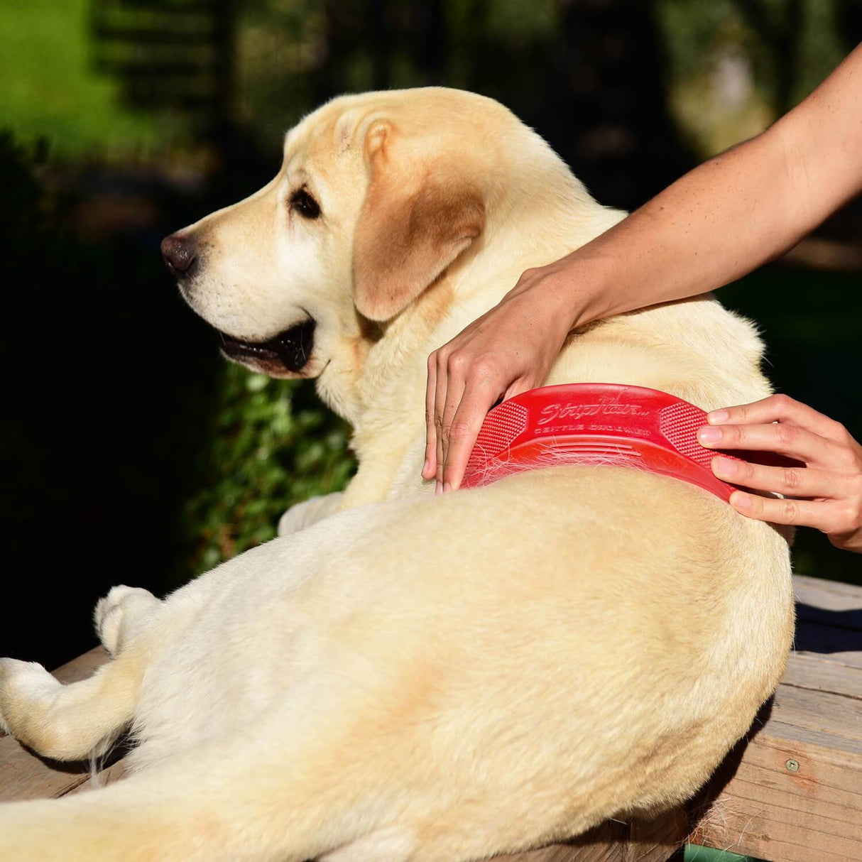StripHair Gentle Groomer