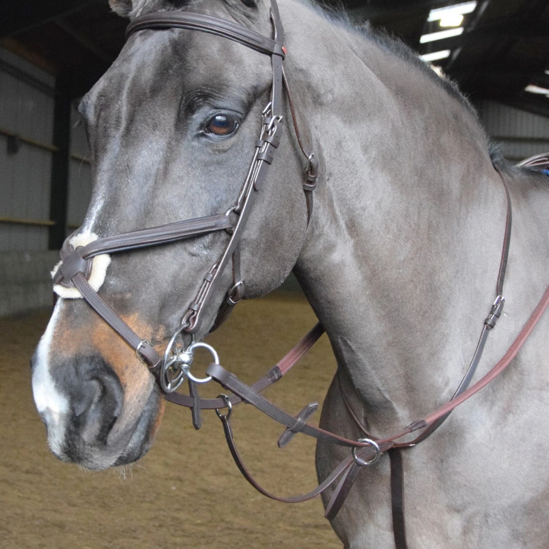 Whitaker Ready To Ride Martingale #colour_havana