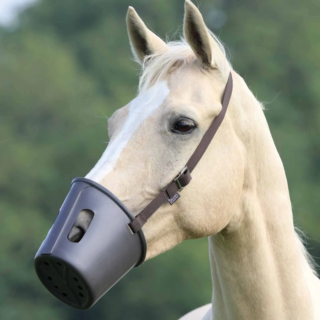 Shires Plastic Muzzle
