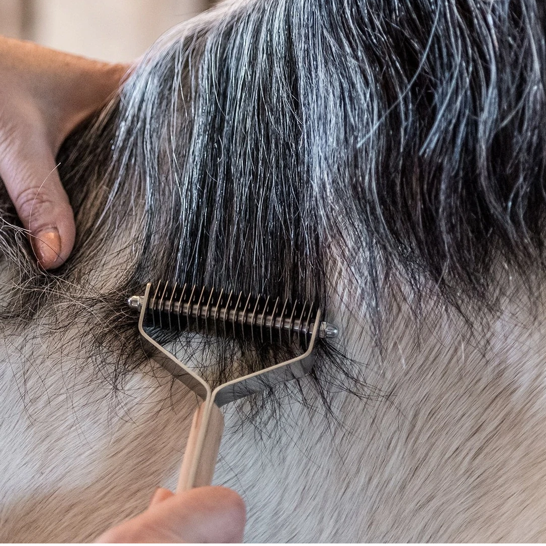 Intelligente Pflege für intelligente Mähnen