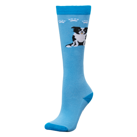 Dublin Single Pack Socks Adults #colour_blue-border-collie