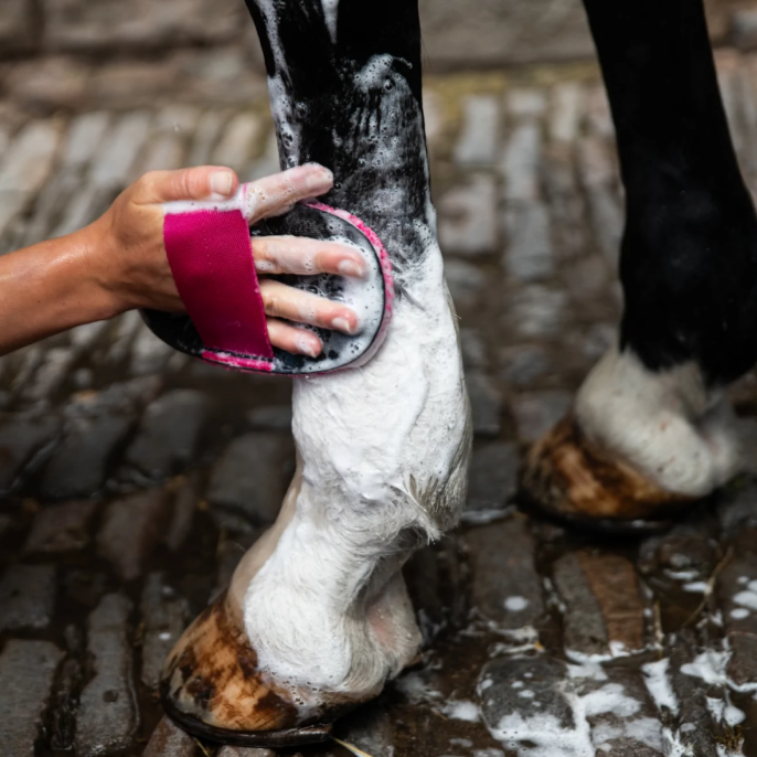 Smart Grooming Deluxe Super Groomer