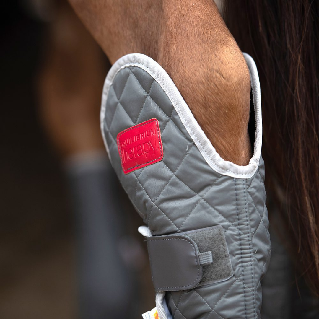 Equilibrium Magnetic Hind & Hock Chaps