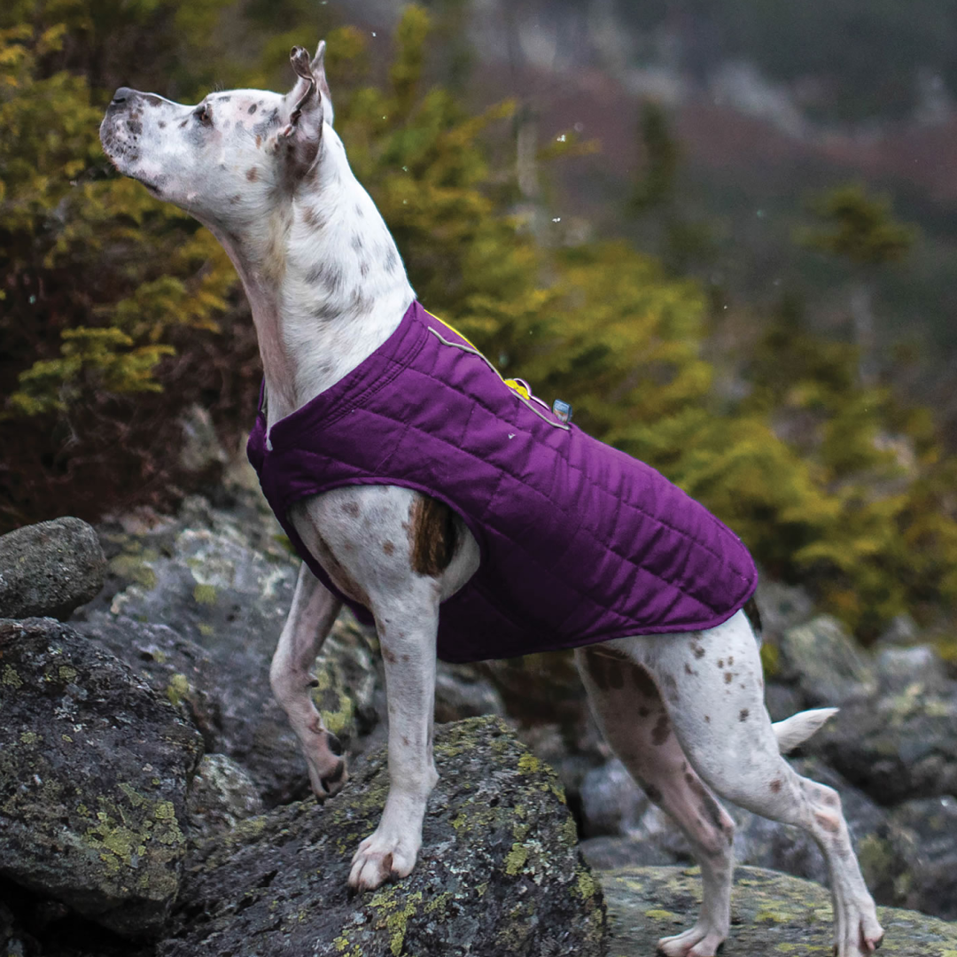 Kurgo Loft Jacket #colour_dark-violet-grey