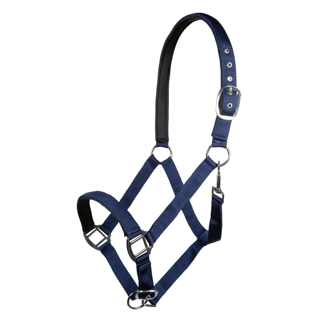 HKM Charming Head Collar #colour_deep-blue