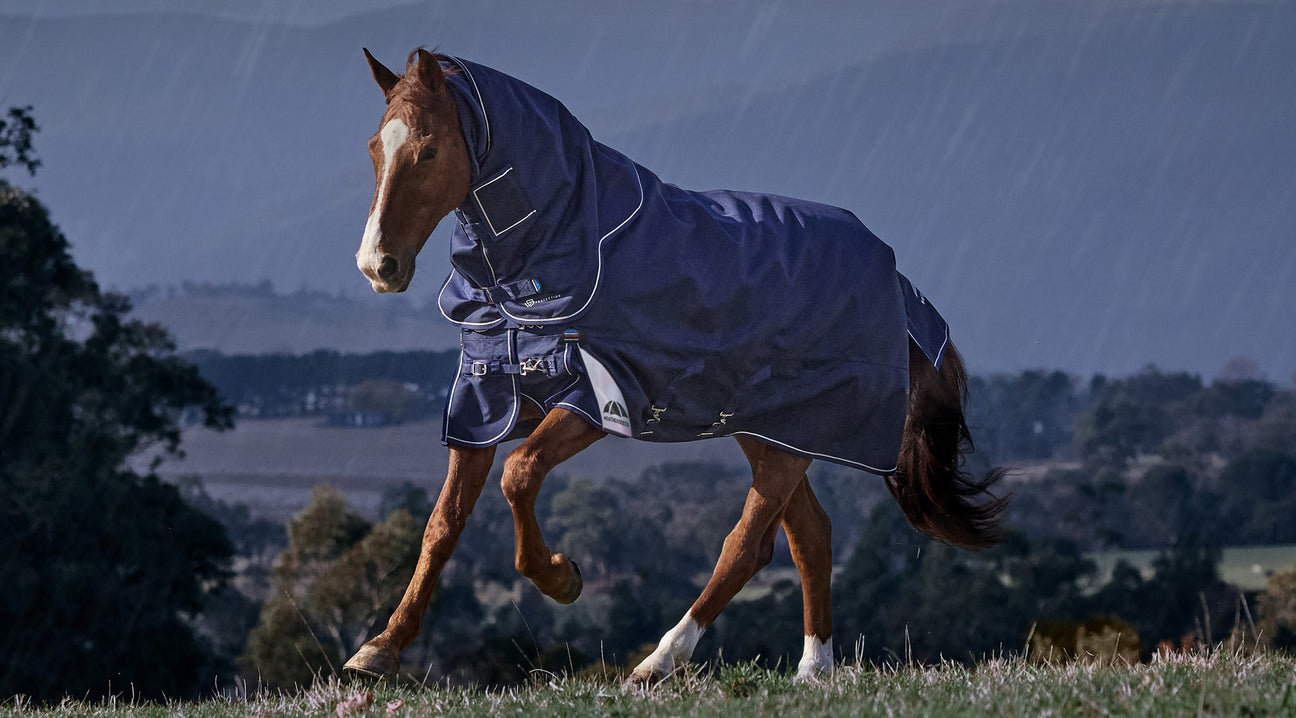 WeatherBeeta AW25 Turnouts