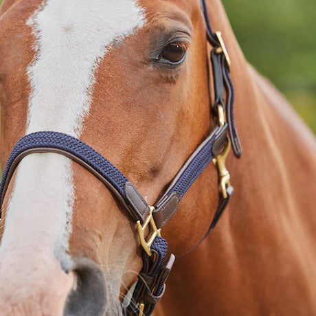 Kincade Braided Leather Headcollar #colour_navy