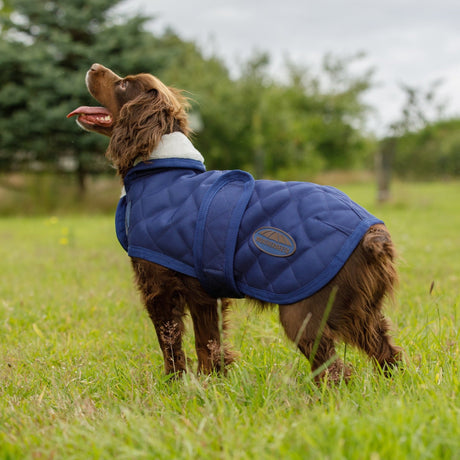 Weatherbeeta Comfitec Deluxe Diamond Quilt Dog Coat #colour_navy