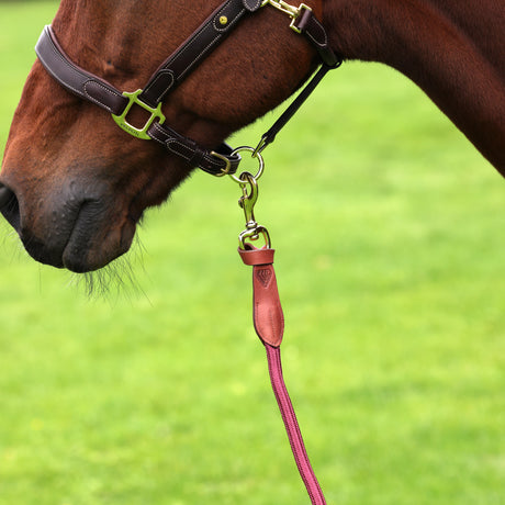 Shires Velociti Lusso Leather Lead Rope #colour_burgundy