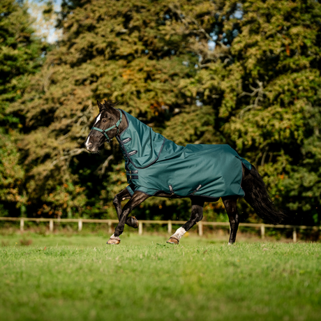 Horseware Ireland Amigo Ripstop 900D Plus 100g Pony Turnout Rug #colour_dynasty-green-navy-silver
