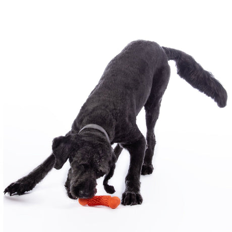 HKM Natural Rubber Dog Toy -Buddy Bone III- #colour_orange