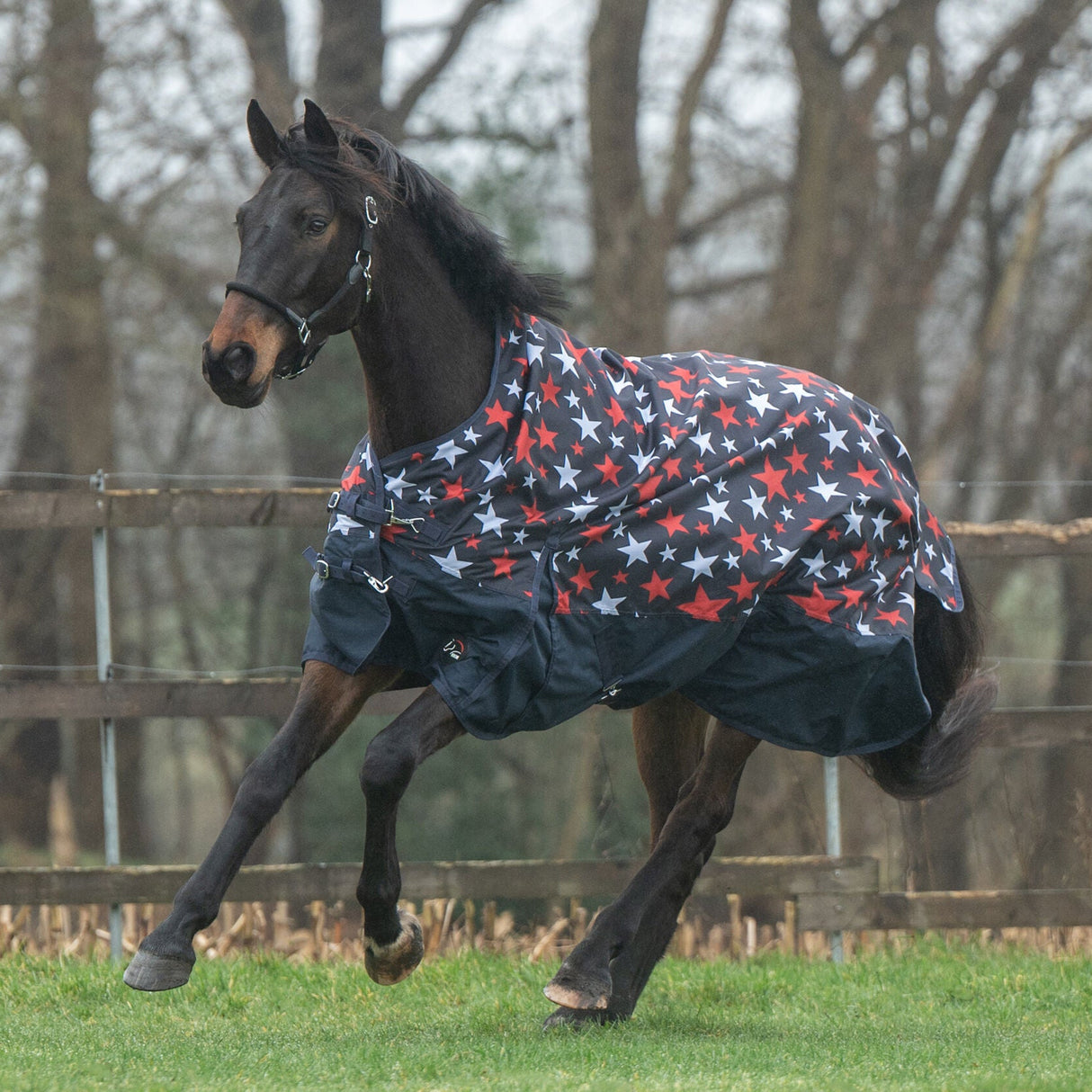 HKM 600D 300g Highneck Rug -Norwich- #colour_blue-with-stars-design