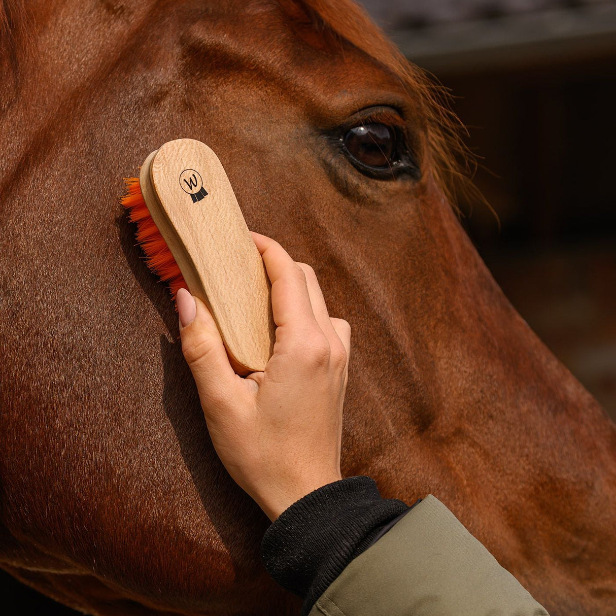 Waldhausen Head Brush Soft #colour_orange