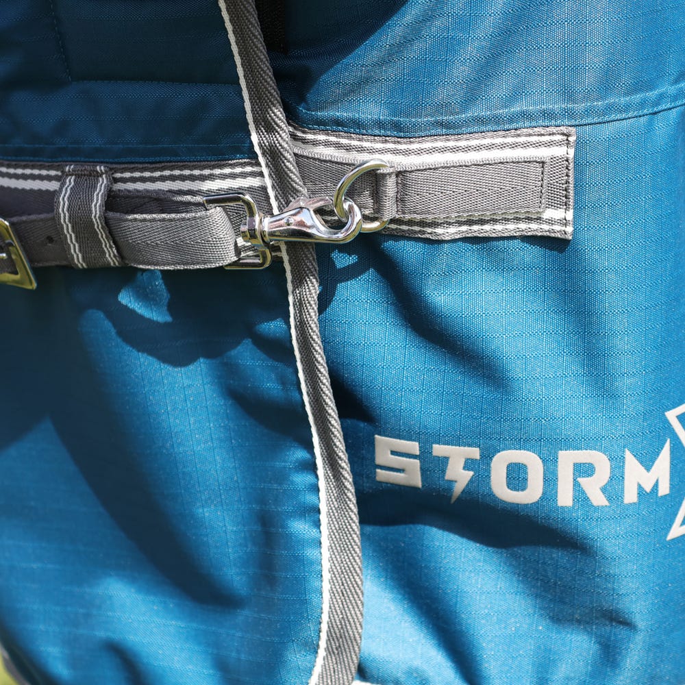 StormX Empra 50g Combi Turnout Rug #colour_teal