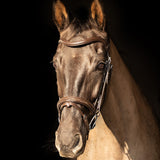 ProPresicce Pelle Raised Flash Leather Bridle by Hy Equestrian #colour_brown-silver