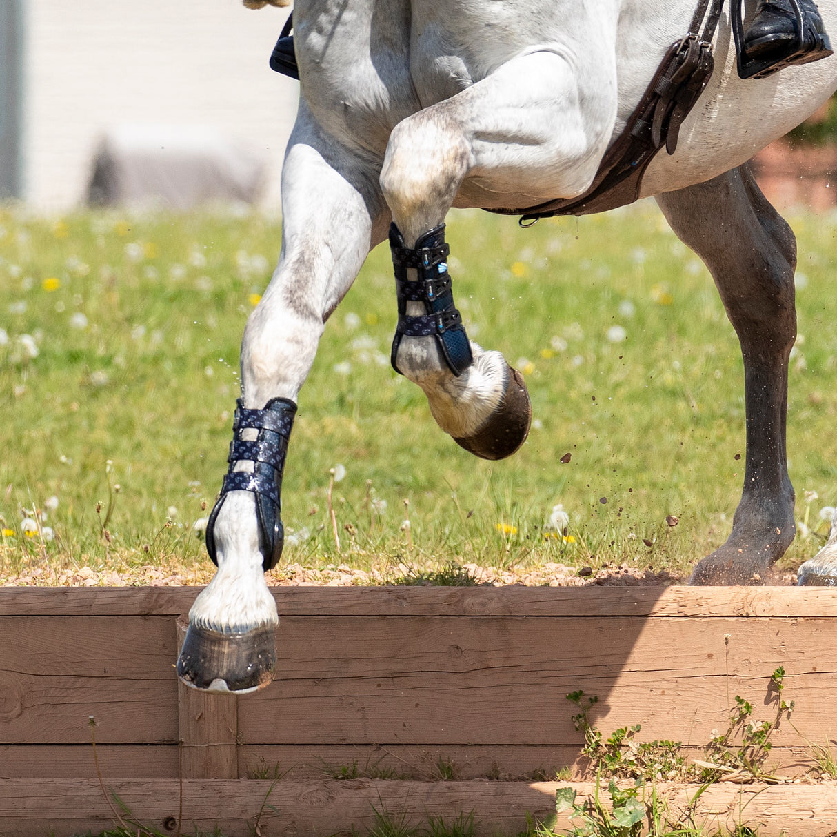 Shires ARMA Carbon Training Boots #colour_black