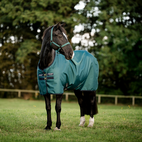 Horseware Ireland Amigo Ripstop 900 50g #colour_dynasty-green-navy-silver