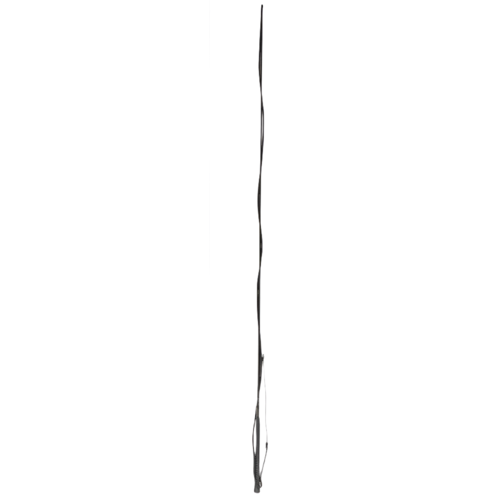 Dublin Lunge Whip #colour_black