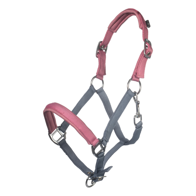 HKM Head Collar -Barnie- #colour_smokey-blue-pink