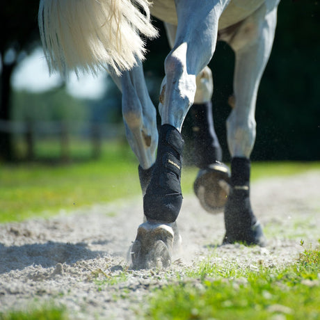 Back On Track Back Exercise Boots