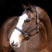 Mackey Legend Helios Leather Headcollar #colour_brown