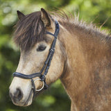 Waldhausen Anatomic Icelandic Bridle #colour_black