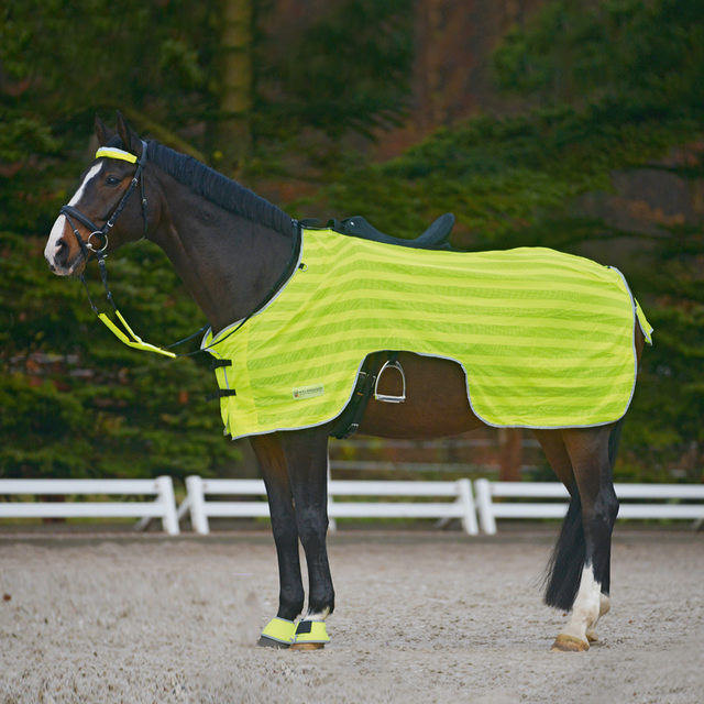 Waldhausen Reflex Riding Sheet with Saddle Cut #colour_yellow