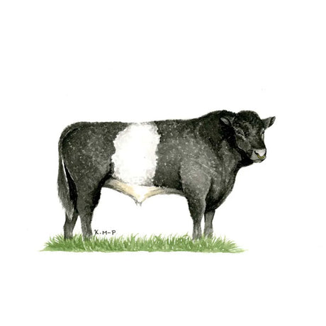 Kevin Milner Countryside Cards #style_belted-galloway