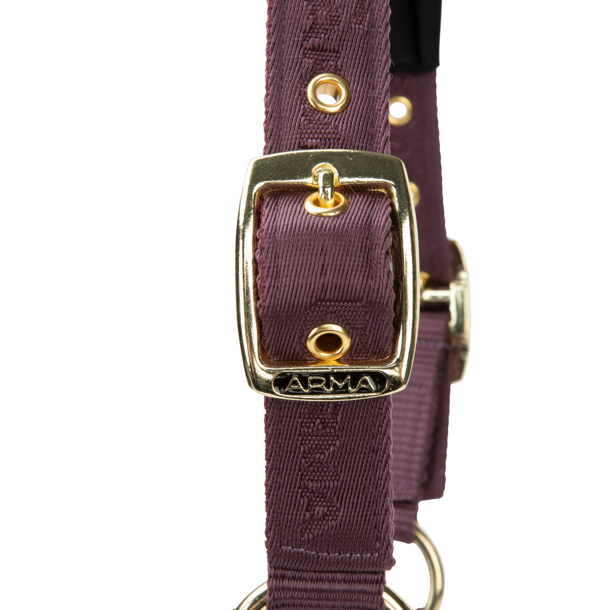 Shires ARMA Padded Headcollar #colour_black-cherry