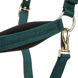 Shires ARMA Padded Headcollar #colour_green