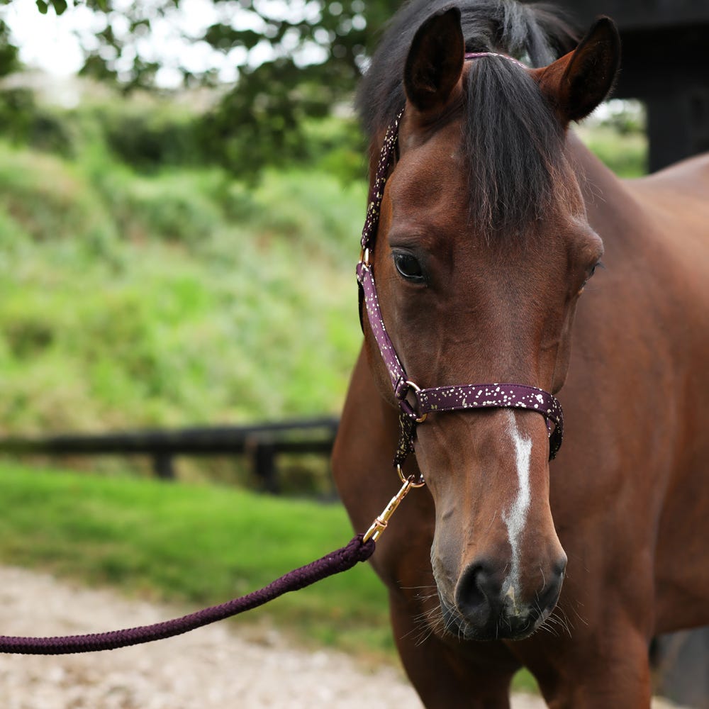 Hy Equestrian Enchanted Collection Head Collar & Lead Rope #colour_plum-rose-gold