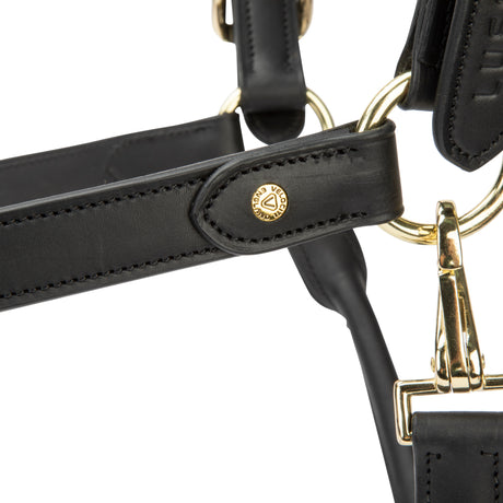 Shires Velociti Lusso Soria Leather Headcollar #colour_black