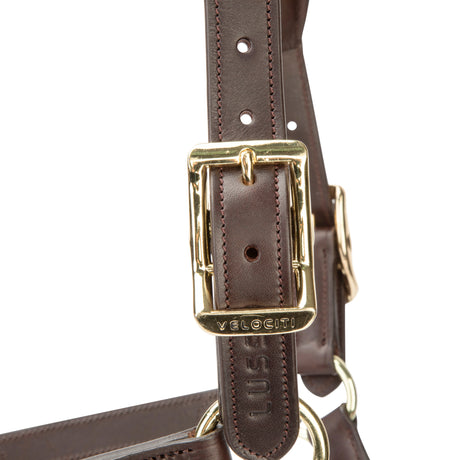 Shires Velociti Lusso Soria Leather Headcollar #colour_havana