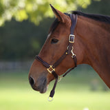 Shires Velociti Lusso Soria Leather Headcollar #colour_havana