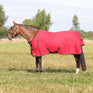 HyCONIC 200g Turnout Rug #colour_red