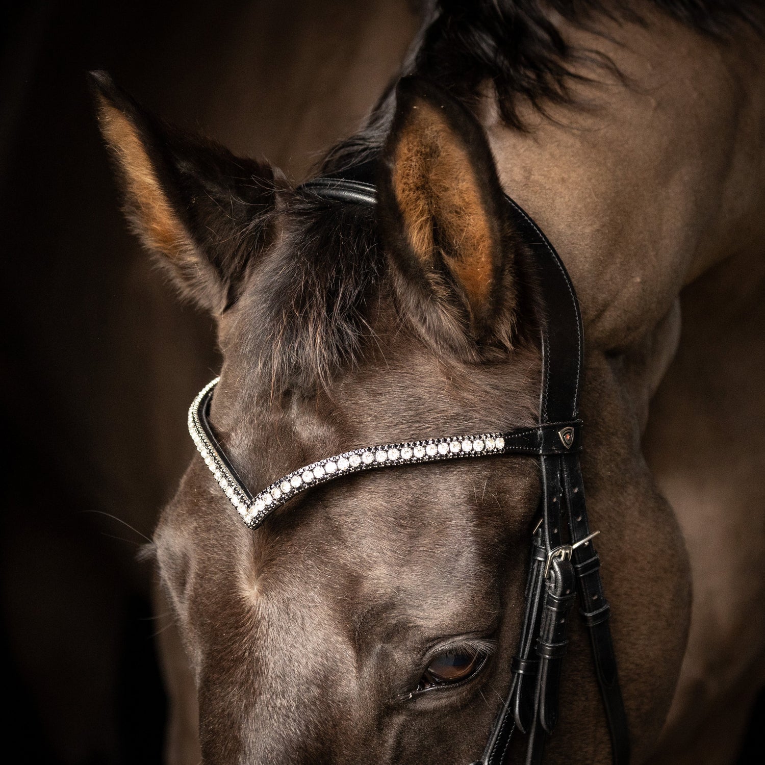 ProPresicce Signature V Diamante Browband by Hy Equestrian #colour_black-with-black-silver-diamantes