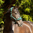 ProReaction Dura Fleece Head Collar by Hy Equestrian #colour_hunter-green