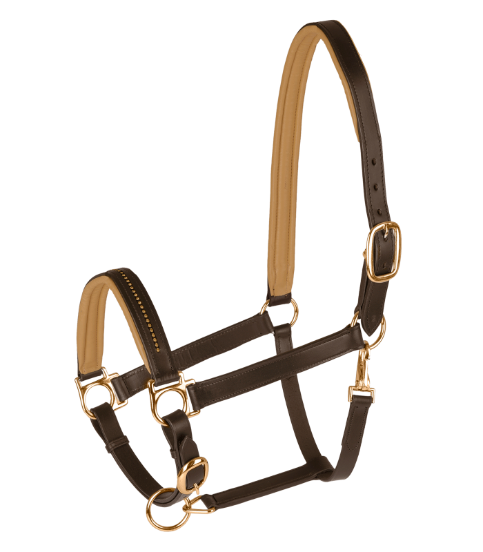 STAR Diamond Leather Halter #colour_brown-gold