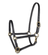 STAR Leather Foal Halter #colour_black