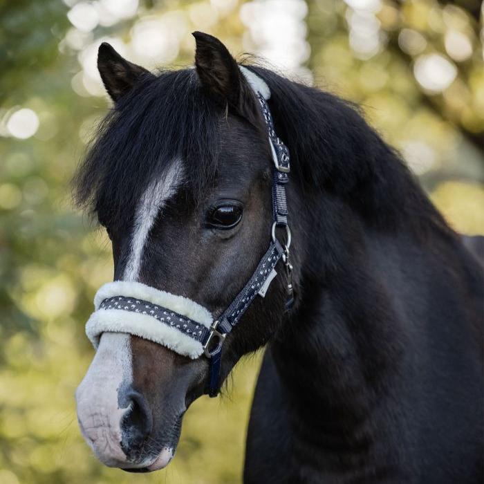 Waldhausen Lucky Halter Set #colour_night-blue