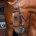 Shires Velociti RAPIDA Ergonomic Curved Cavesson Bridle #colour_havana