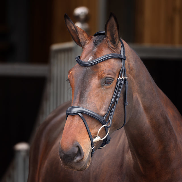 Shires Velociti Lusso Elite Flash Bridle #colour_black