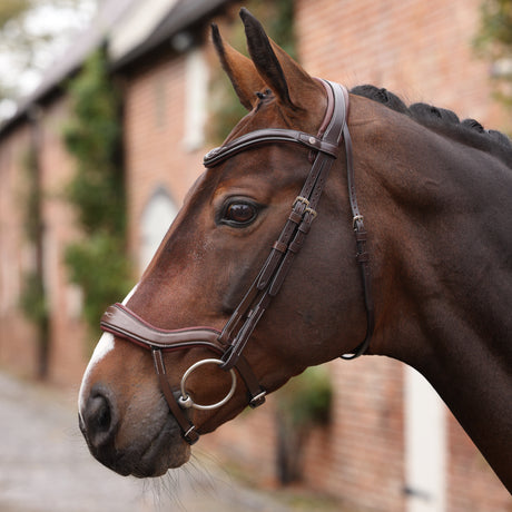 Shires Velociti LUSSO Opus 180M Ergonomic Flash Bridle #colour_havana