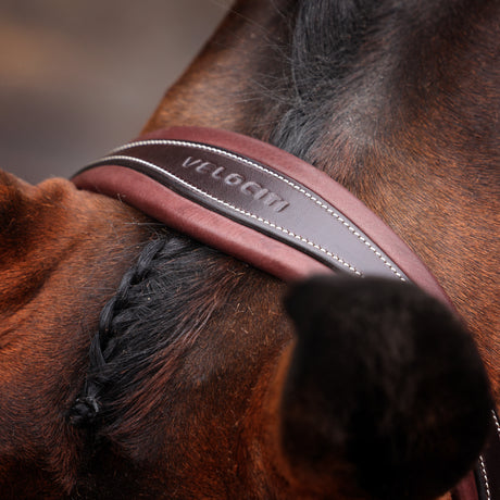Shires Velociti LUSSO Opus 180M Ergonomic Flash Bridle #colour_havana