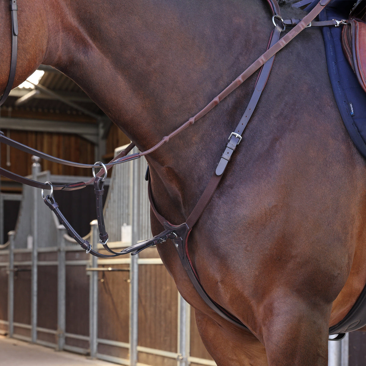 Shires Velociti LUSSO Elite Breastplate