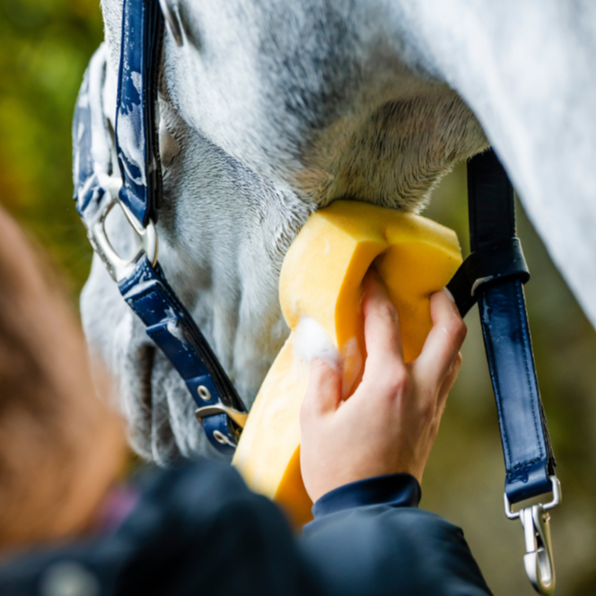 Horseware Ireland Grooming Headcollar #colour_navy