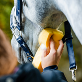 Horseware Ireland Grooming Headcollar #colour_navy