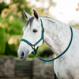 Horseware Ireland Headcollar & Leadrope #colour_dynasty-green