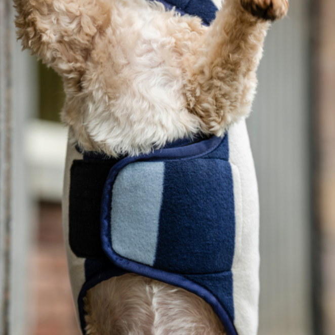 Horseware Ireland Newmarket Dog Fleece #colour_whitney-navy
