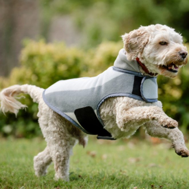 Horseware Ireland Newmarket Dog Fleece #colour_whitney-charcoal
